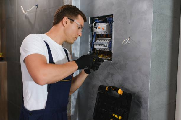 Best Electrician for Home Renovation  in Felton, DE